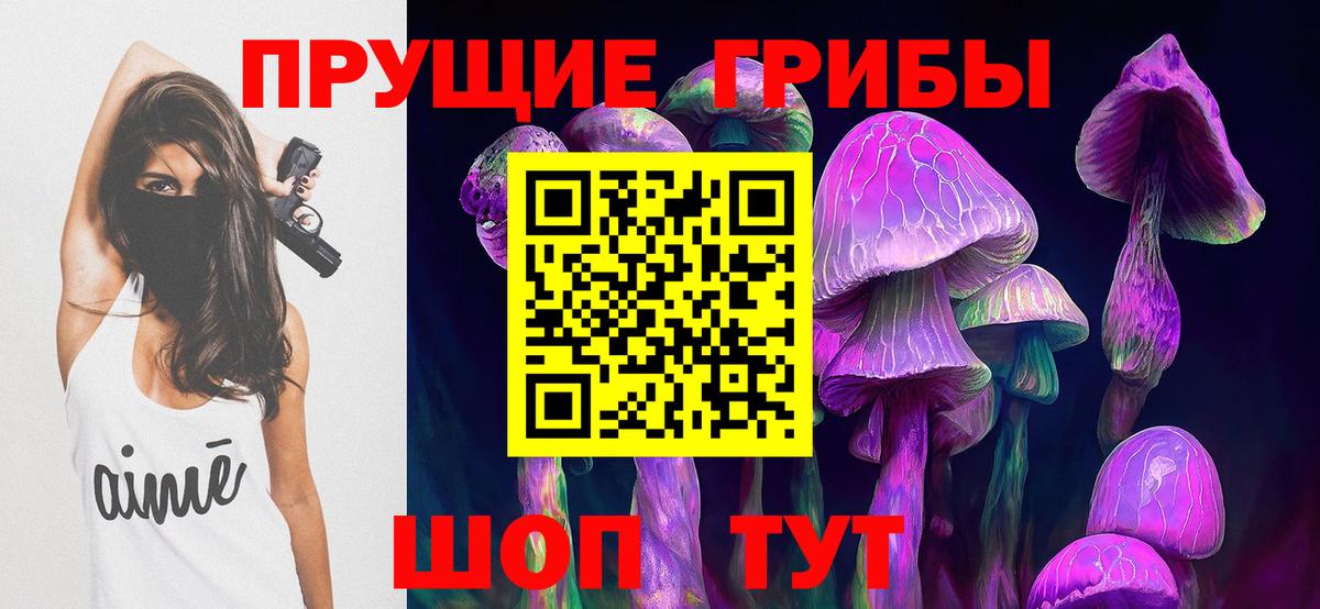 Великий Устюг  Галлюциногенные грибы прущие грибы  Вход с VPN  Галлюциногенные грибы Psilocybe 
