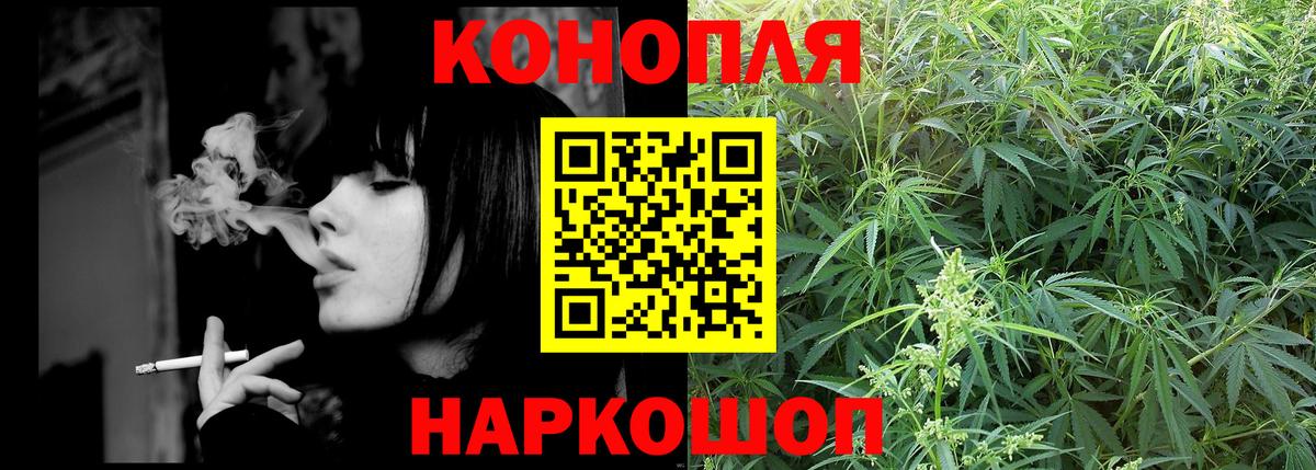 Шишки марихуана план Великий Устюг